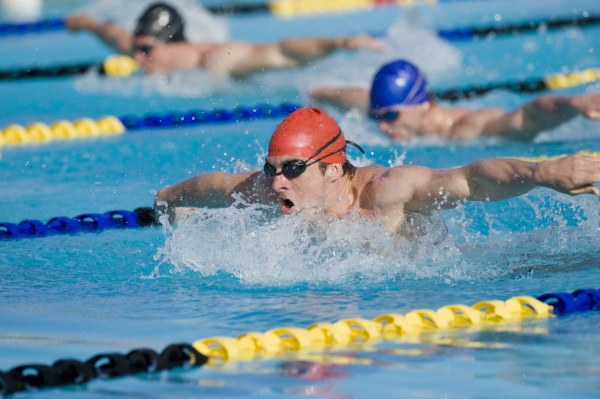 Плавание баттерфляем: техника пошагово для начинающих, как научиться правильно плавать Плавание баттерфляем: техника пошагово для начинающих, как научиться правильно плавать