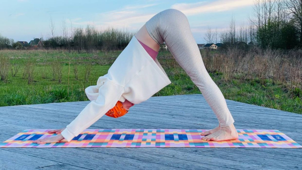 Позы йоги, асаны для начинающих: названия, картинки Позы йоги, асаны для начинающих: названия, картинки